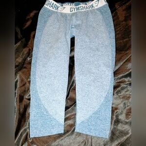 Gymshark Teal Performance Leggings